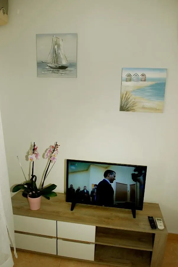 Olive Apartment Split