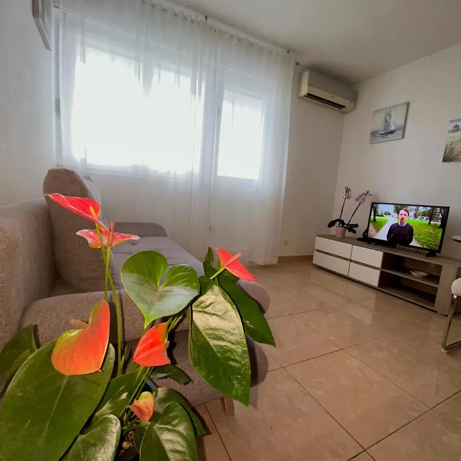 Olive Apartment Split Croatia